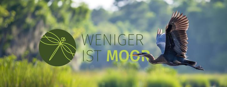 Weniger ist Moor - Ein Reiher fliegt über einen See