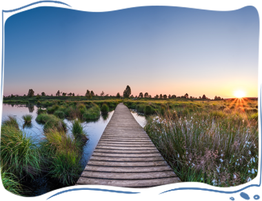 Moorlandschaft im Sonnenuntergang