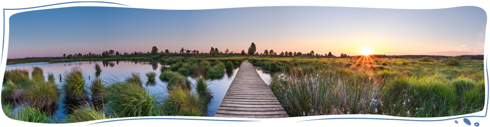 Moorlandschaft im Sonnenuntergang