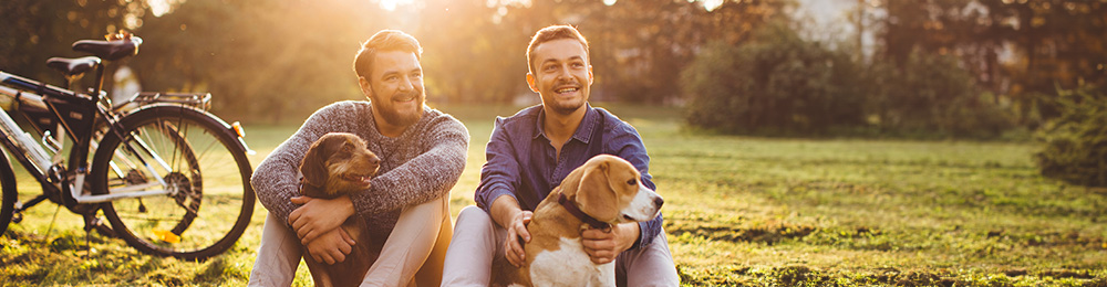 Zwei Männer sitzen bei sonnigem Wetter mit Ihren Hunden auf einer Wiese.