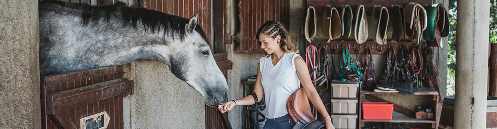 Eine Frau füttert Ihr Pferd mit ausgestreckter Hand an der Stalltür.